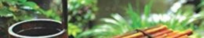 The Art of Taking Action