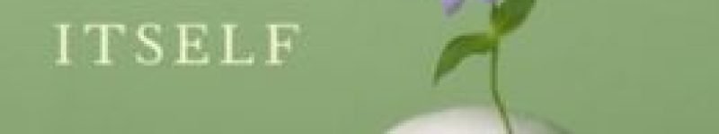 The Brain That Changes Itself