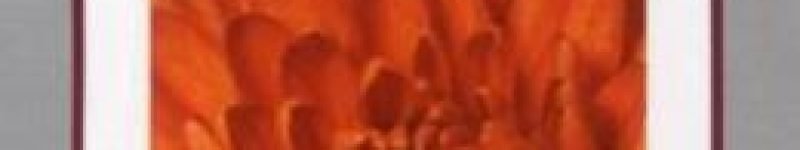 The Pathwork of Self-Transformation